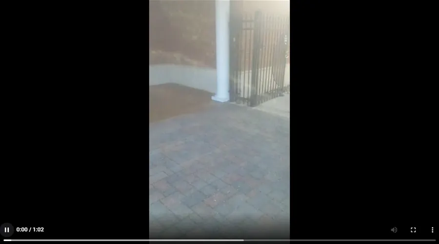video5